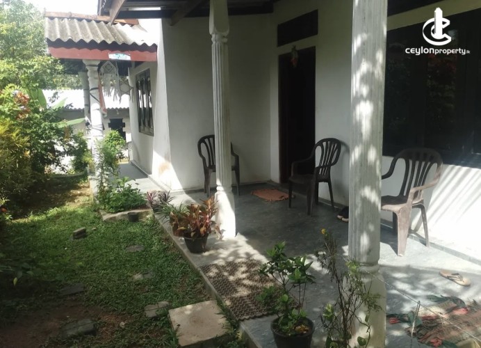 Land for Sale in Minuwangoda - Land for Sale in Minuwangoda - photo 2