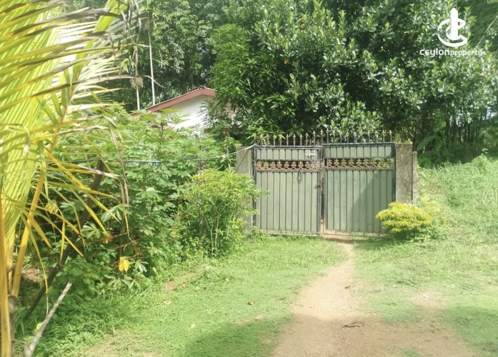 Land for Sale in Minuwangoda - Land for Sale in Minuwangoda - photo 5