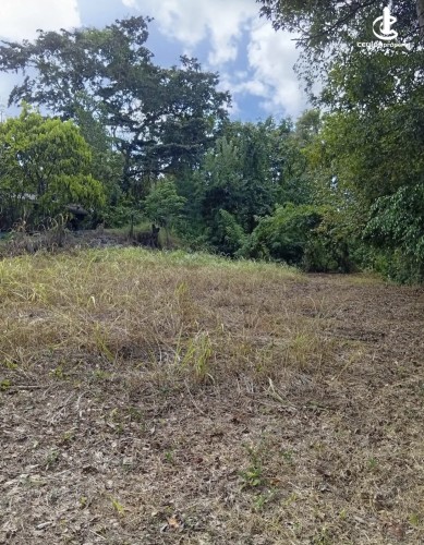 Land for Sale in Kurunegala - Land for sale in kurunagala - photo 3