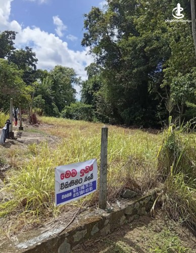 Land for Sale in Kurunegala - Land for sale in kurunagala - photo 7