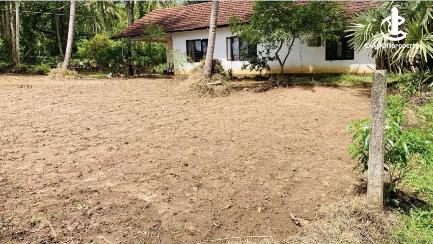 Land for Sale in Ibbagamuwa - Land for sale in Ibbagamuwa - photo 2