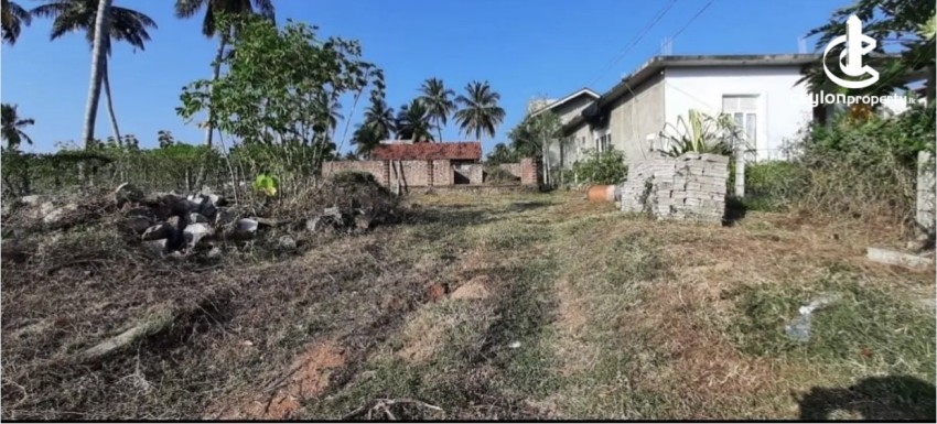 Land for Sale in Dankotuwa - Land for Sale in Dankotuwa - photo 2