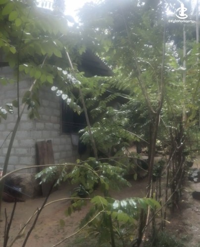 Land for Sale in Gampaha - Land for Sale in Gampaha - photo 2