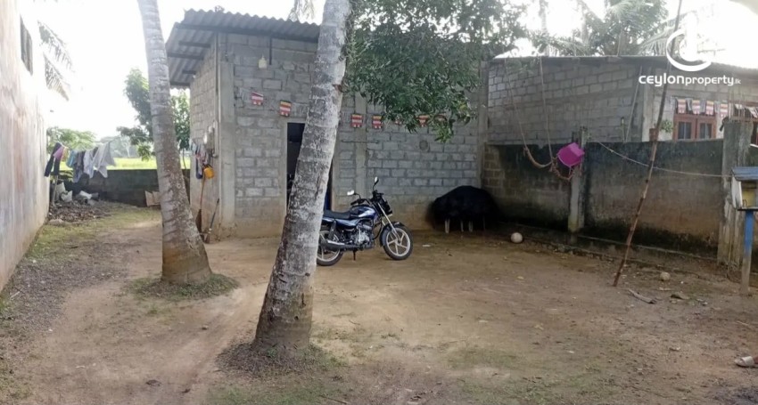 Land for Sale in Gampaha - Land for sale in gampaha - photo 1