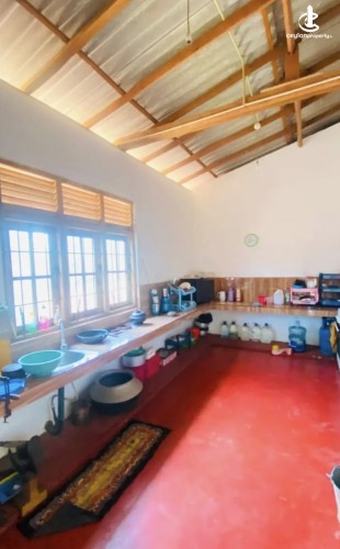 Land for Sale in Anuradhapura - Land for sale in Anuradapura - photo 4