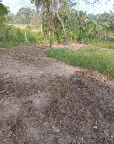 Land for Sale in Anuradhapura - Land for sale in Anuradapura - photo 1