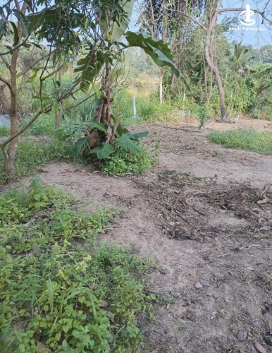 Land for Sale in Anuradhapura - Land for sale in Anuradapura - photo 2