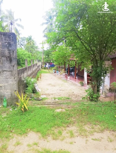 Land for Sale in Gampaha - Land for sale in diwulapitiya - photo 1