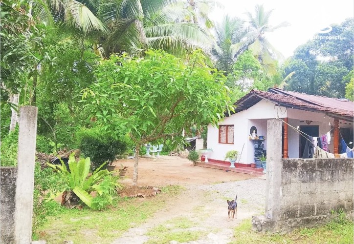 Land for Sale in Gampaha - Land for sale in diwulapitiya - photo 2
