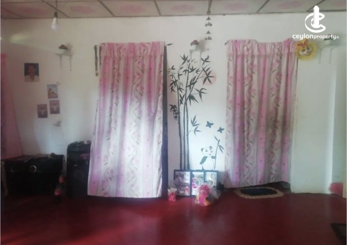 Land for Sale in Galle - Land for sale in galle - photo 2