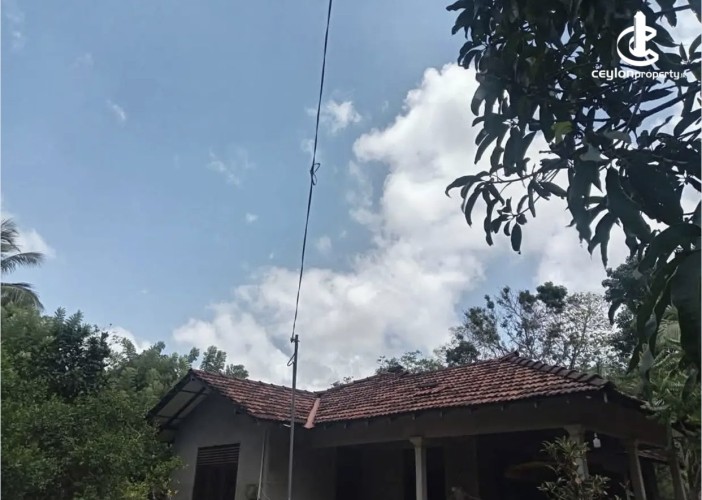 Land for Sale in Udubaddawa - Land for sale in udubaddawa - photo 1