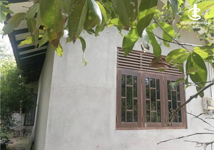 Land for Sale in Udubaddawa - Land for sale in udubaddawa - photo 2