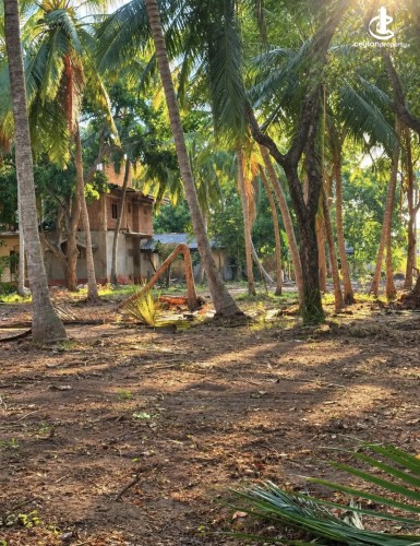 Land for Sale in Anuradhapura - Land for sale in Anuradapura - photo 4