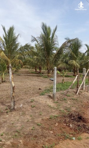 Land for Sale in Madurankuliya - Land for sale in Madurankuliya - photo 3