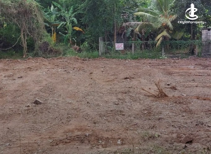 Land for Sale in Anuradhapura - Land for sale in Anuradapura - photo 2