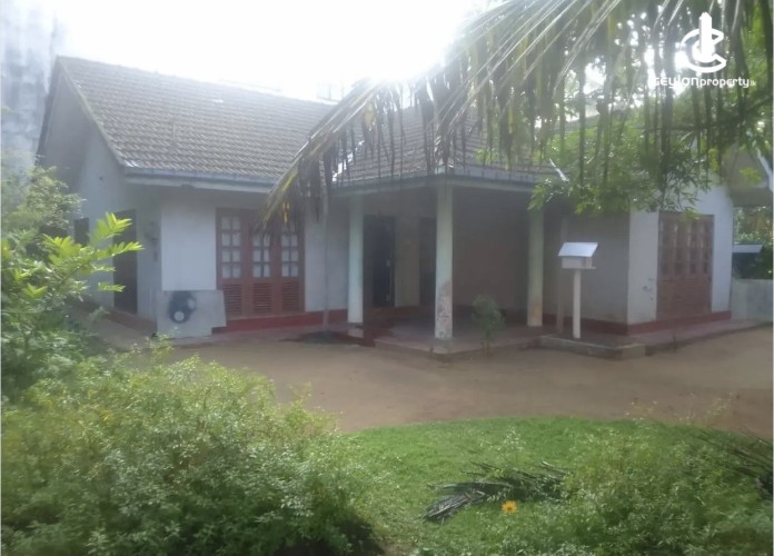 Land for Sale in Ingiriya - Land for sale in ingiriya - photo 1