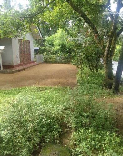 Land for Sale in Ingiriya - Land for sale in ingiriya - photo 2