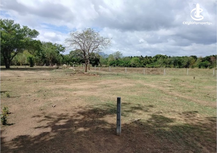 Land for Sale in Dambulla - Land for sale in Dambulla - photo 1