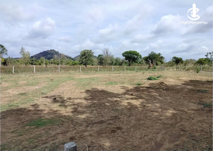 Land for Sale in Dambulla - Land for sale in Dambulla - photo 2