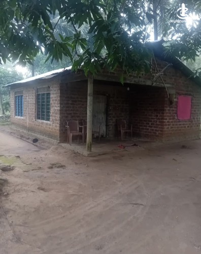 Land for Sale in Polpithigama - Land for sale in rambe - photo 1