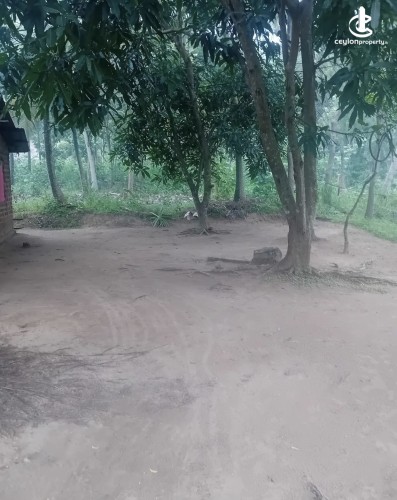 Land for Sale in Polpithigama - Land for sale in rambe - photo 2