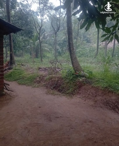 Land for Sale in Polpithigama - Land for sale in rambe - photo 3