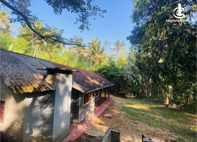 Land for Sale in Dodangaslanda - Land for sale in Dodamgaslanda - photo 2