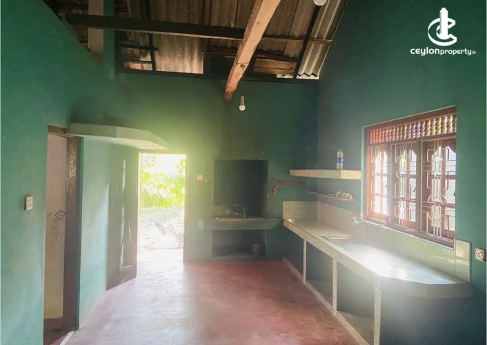 Land for Sale in Dodangaslanda - Land for sale in Dodamgaslanda - photo 5