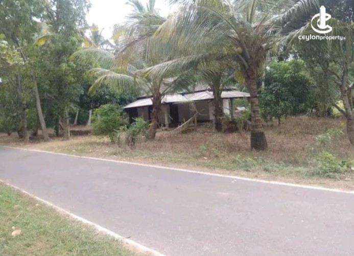 Land for Sale in Wariyapola - Land for sale in wariyapola - photo 2