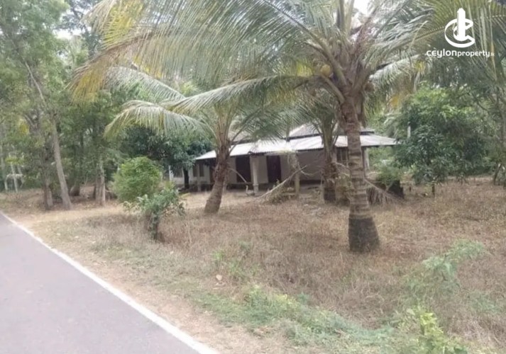 Land for Sale in Wariyapola - Land for sale in wariyapola - photo 3