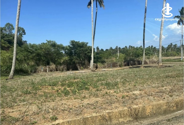 Land for Sale in Narammala - Land for Sale in Narammala - photo 2
