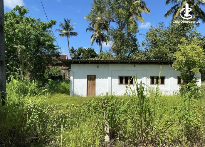 Land for Sale in Kurunegala - Land for sale in kurunagala - photo 1