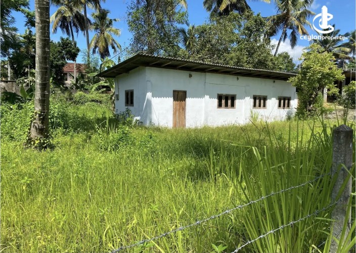 Land for Sale in Kurunegala - Land for sale in kurunagala - photo 3