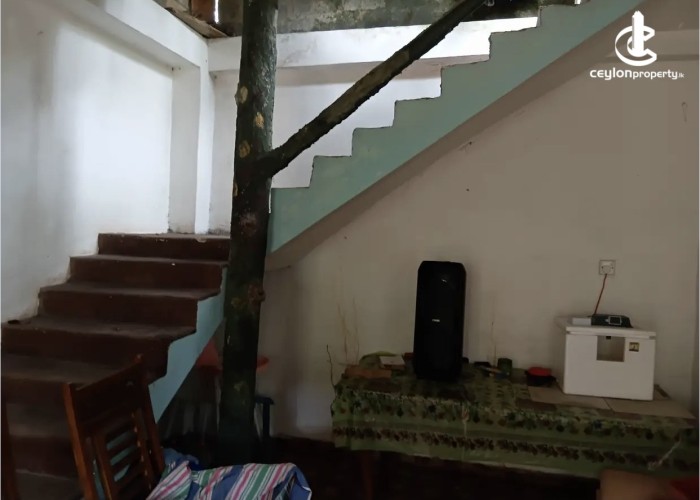 Land for Sale in Gampaha - Land for sale in gampaha - photo 3
