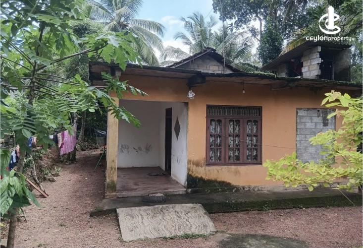 Land for Sale in Gampaha - Land for sale in gampaha - photo 4