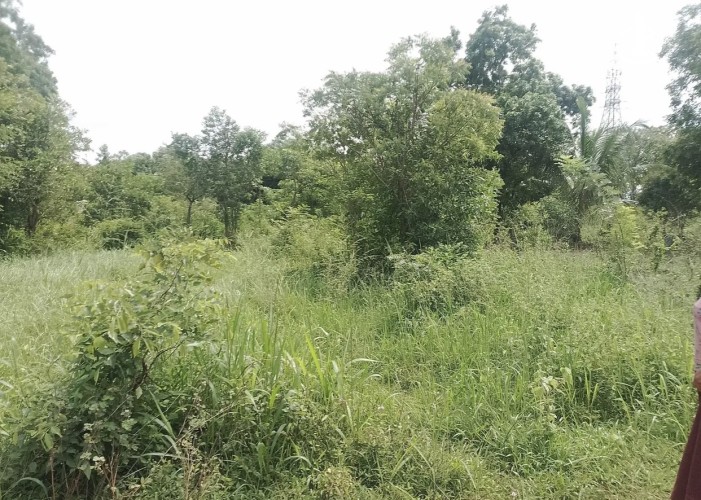 Land for Sale in Anuradhapura - Land for sale in Anuradhapura - photo 1