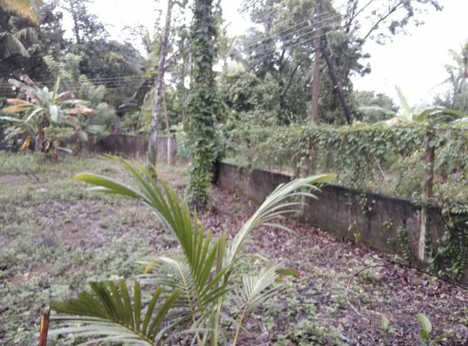 Land for Sale in Ganemulla - Land for Sale in Ganemulla - photo 1