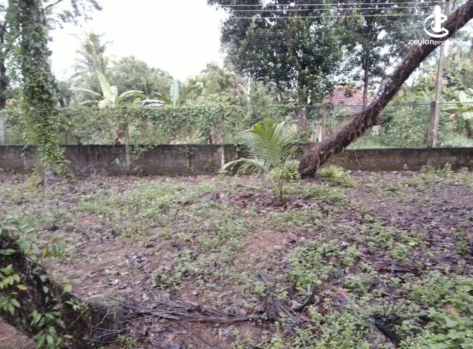 Land for Sale in Ganemulla - Land for Sale in Ganemulla - photo 1