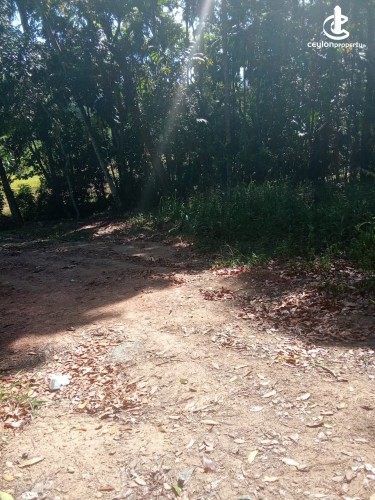 Land for Sale in Matara - Land for Sale in Matara - photo 1