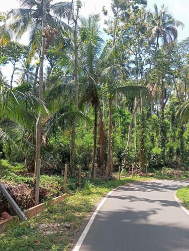 Land for Sale in Matale - Land for Sale in Matale - photo 1