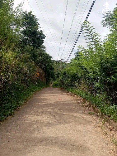 Land for Sale in Matale - Land for Sale in Matale - photo 3