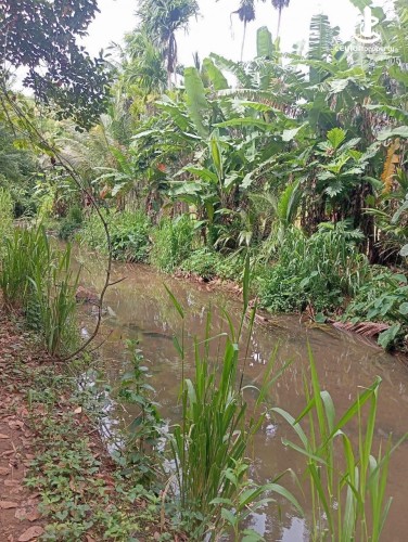 Land for Sale in Matale - Land for Sale in Matale - photo 4