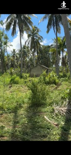 Land for Sale in Chilaw - Land for Sale in Chilaw - photo 3