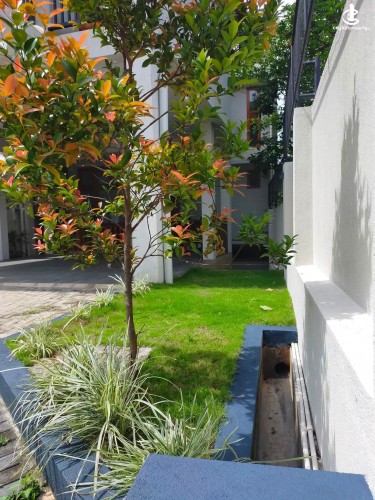 House for Sale in Kandy - House for sale in Kandy - photo 10