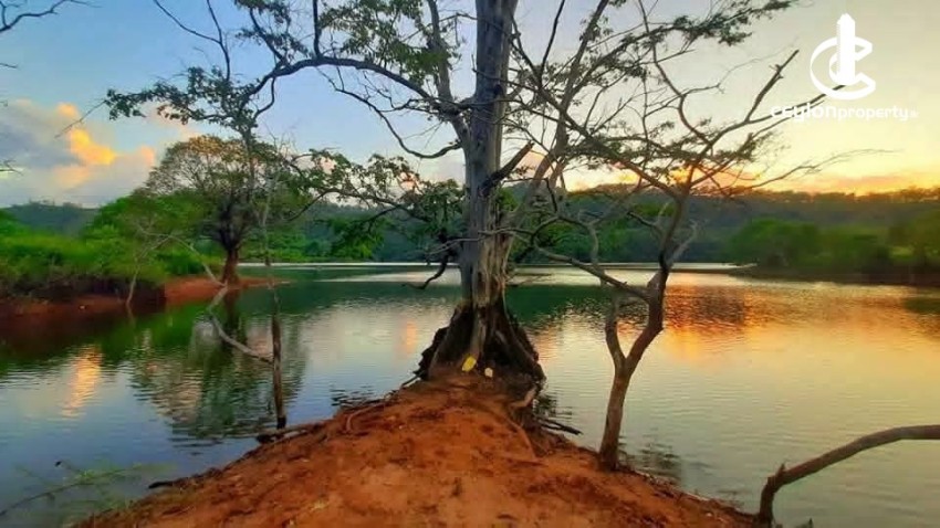 Land for Sale in Matale - Land for Sale in Matale - photo 1