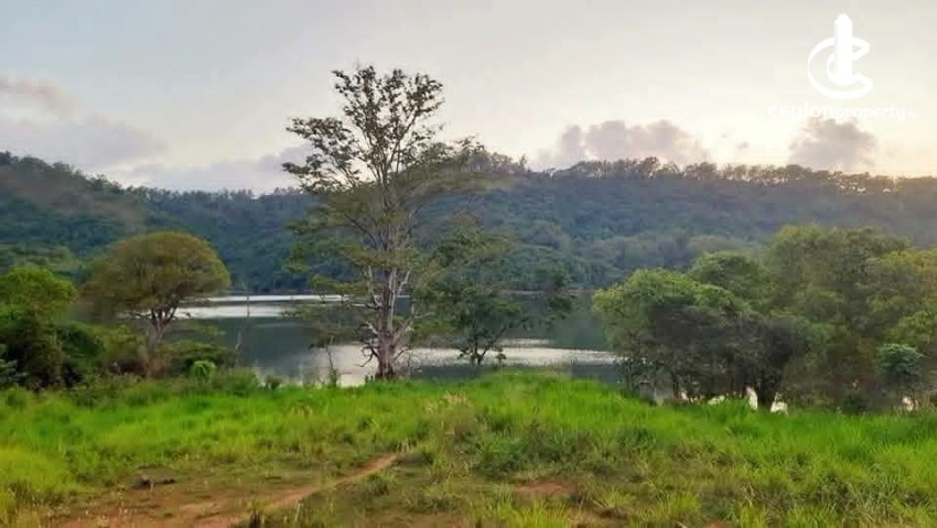 Land for Sale in Matale - Land for Sale in Matale - photo 3