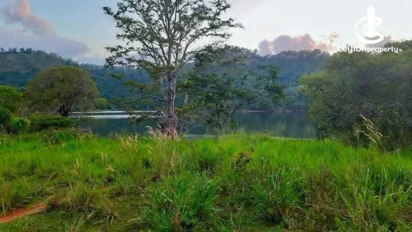 Land for Sale in Matale - Land for Sale in Matale - photo 4
