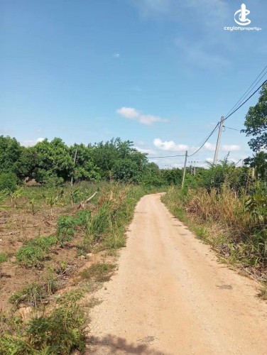 Land for Sale in Dambulla - Land for Sale in Dambulla - photo 2