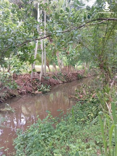 Land for Sale in Dambulla - Land for Sale in Dambulla - photo 3