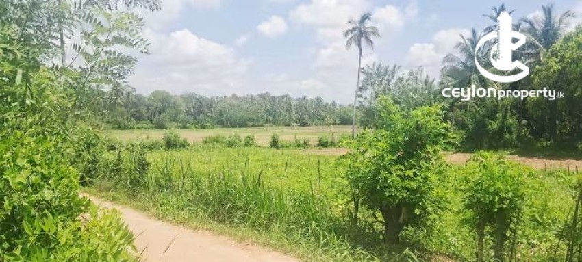 Land for Sale in Kurunegala - Land for Sale in Kurunegala - photo 2